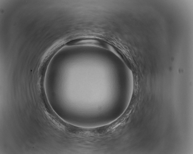 X0000085250197200703091306