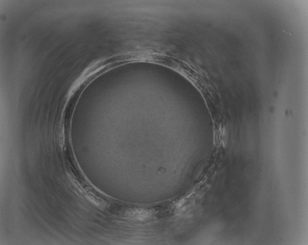 X0000085250198200703091306