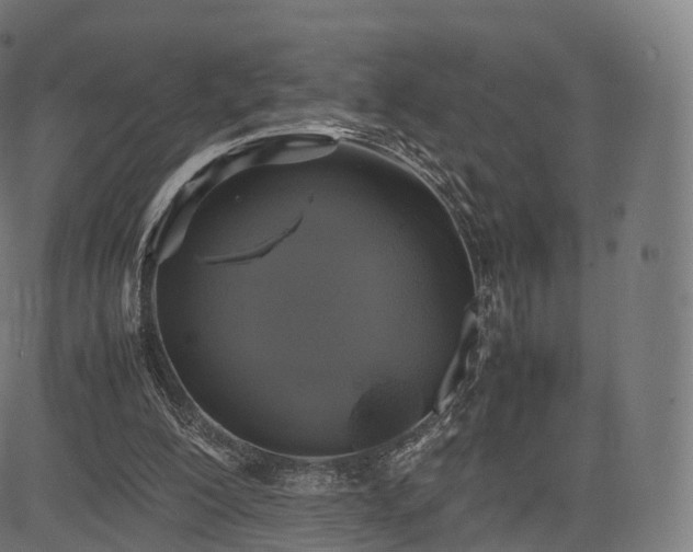 X0000085250200200703091306