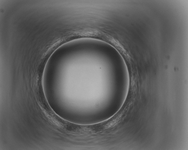 X0000085250201200703091306