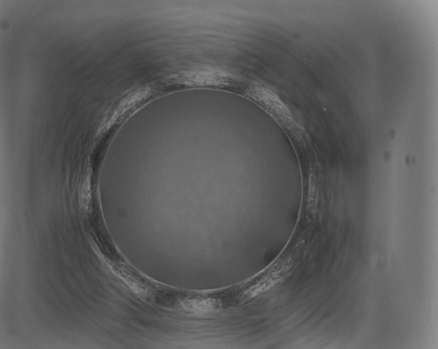 X0000085250202200703091306