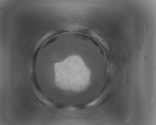 X0000085250203200703091306