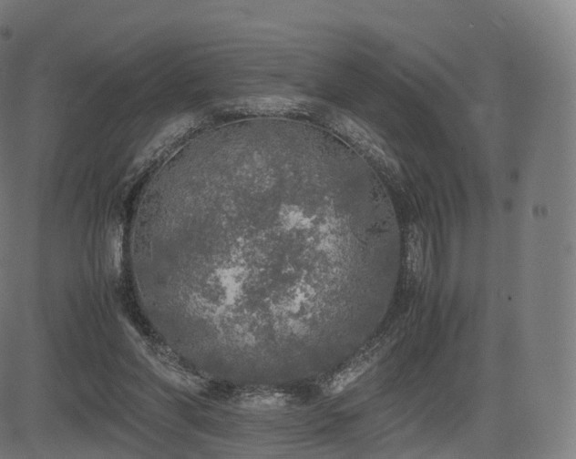 X0000085250206200703091306