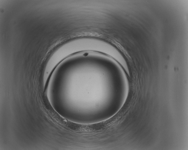 X0000085250207200703091306