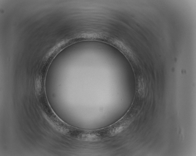 X0000085250208200703091306