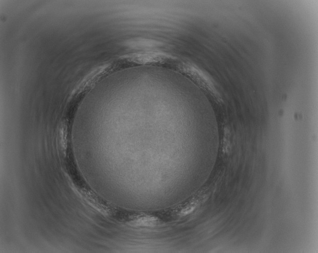 X0000085250210200703091306