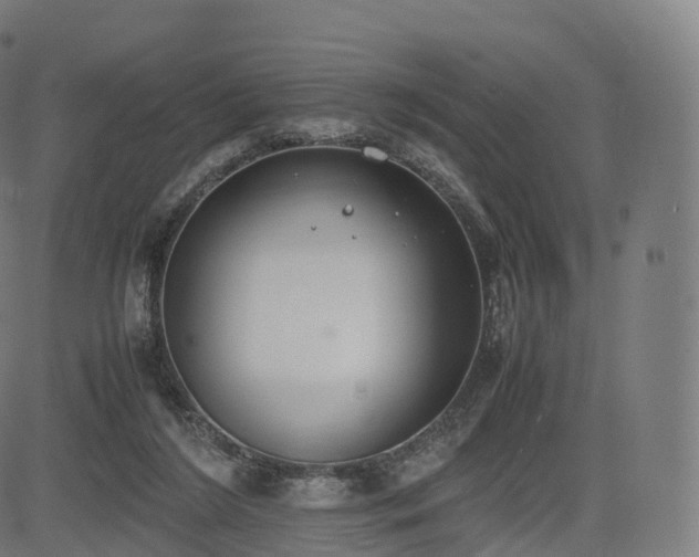 X0000085250212200703091306