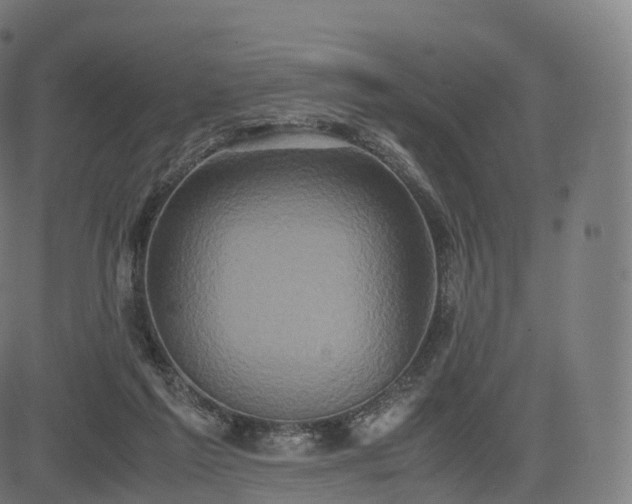 X0000085250213200703091306