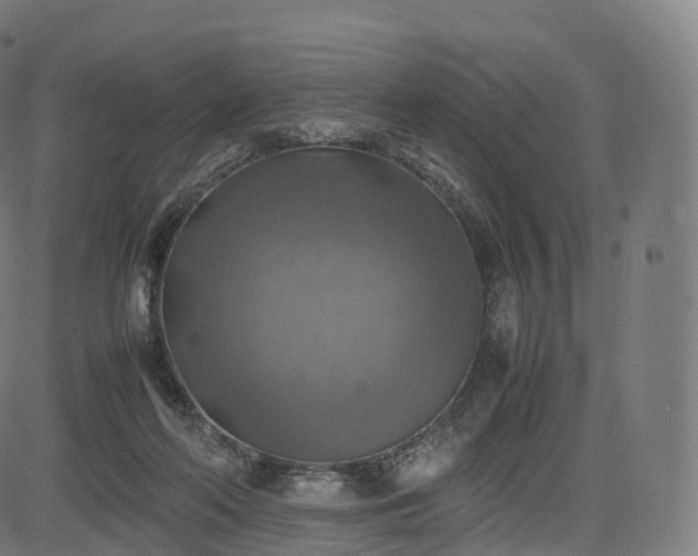 X0000085250214200703091306