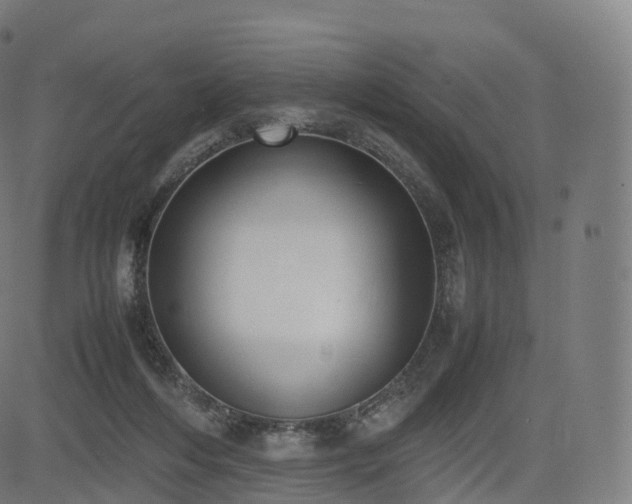 X0000085250216200703091306