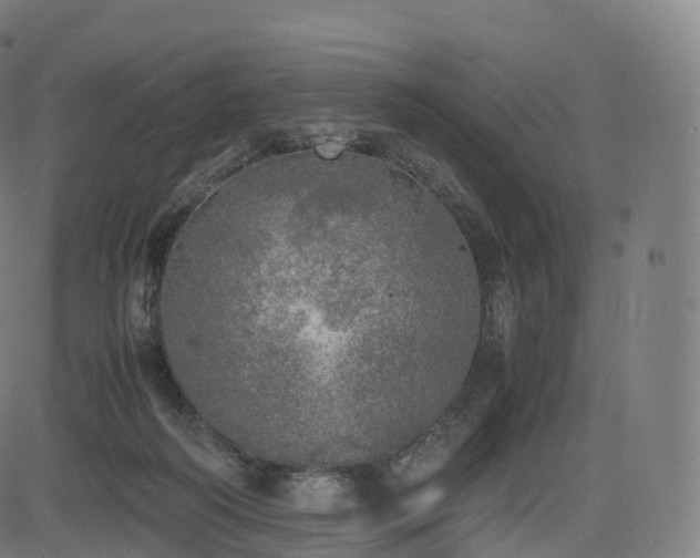 X0000085250218200703091306