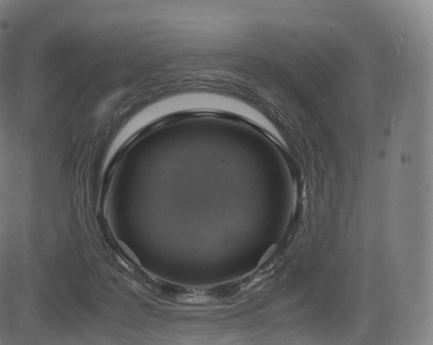 X0000085250219200703091306