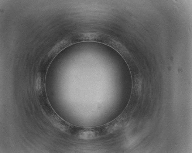 X0000085250220200703091306