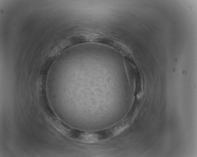 X0000085250221200703091306