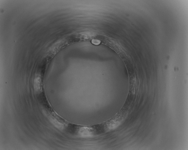 X0000085250222200703091306