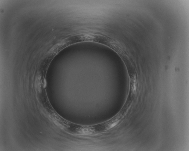 X0000085250223200703091306