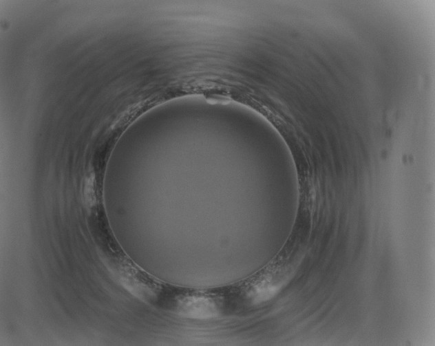 X0000085250224200703091306