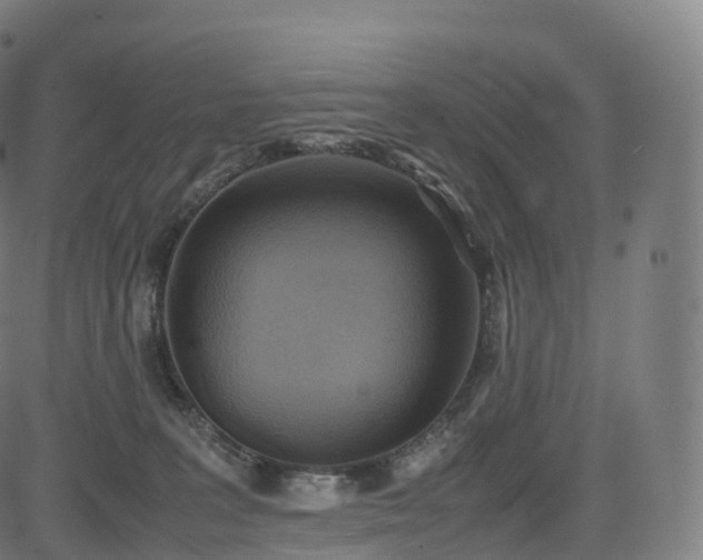 X0000085250227200703091306