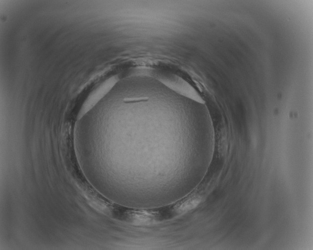 X0000085250229200703091306