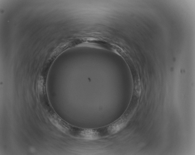 X0000085250231200703091306