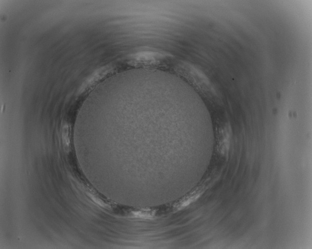 X0000085250232200703091306