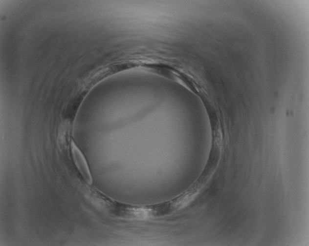 X0000085250233200703091306