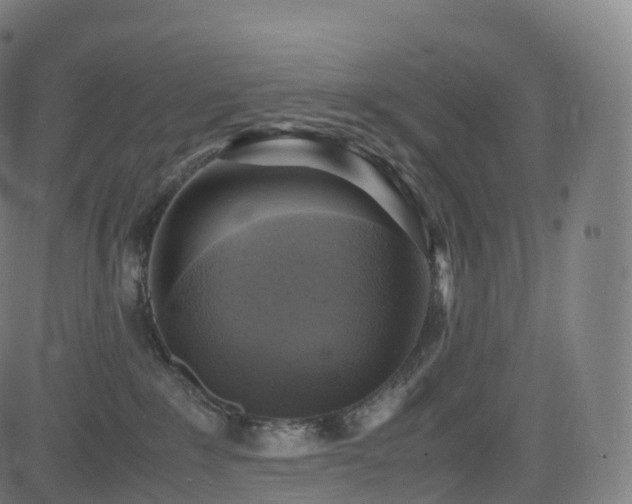 X0000085250235200703091306