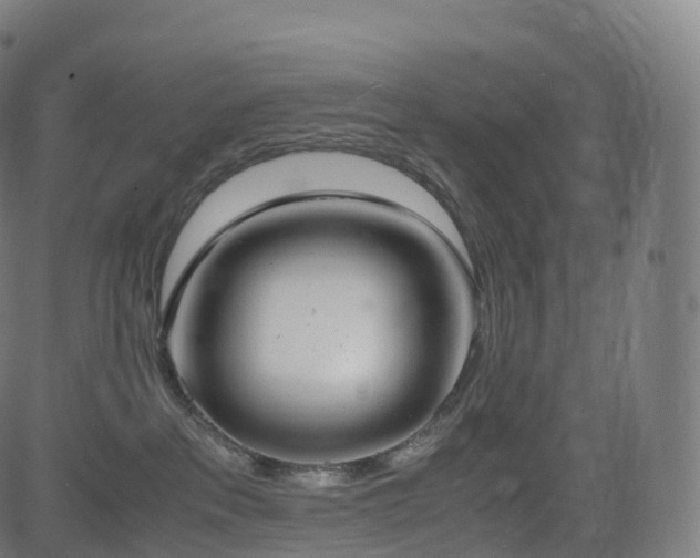 X0000085250237200703091306