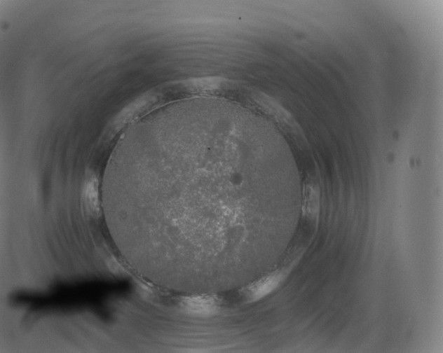 X0000085250238200703091306