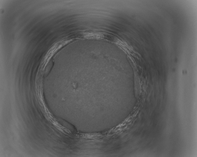 X0000085250241200703091305