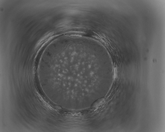 X0000085250243200703091305