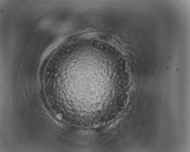 X0000085250245200703091305