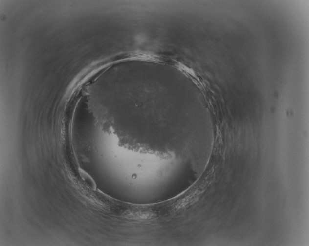 X0000085250247200703091305