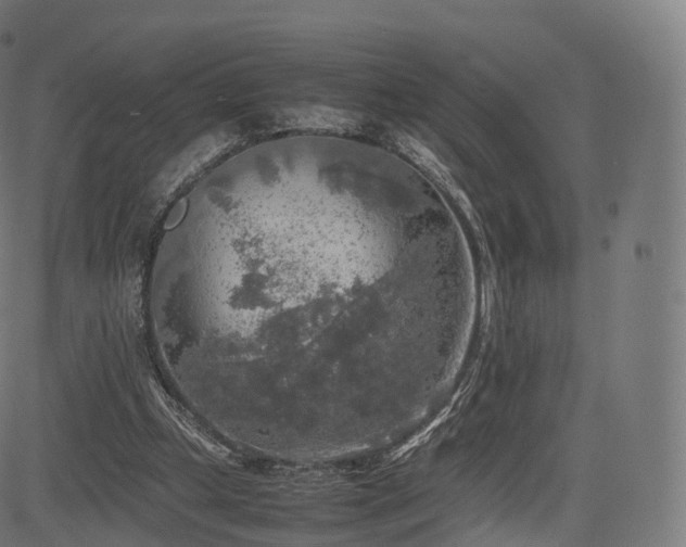 X0000085250249200703091305