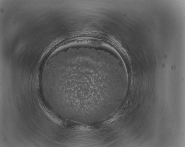 X0000085250250200703091305