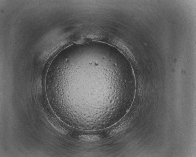 X0000085250251200703091305