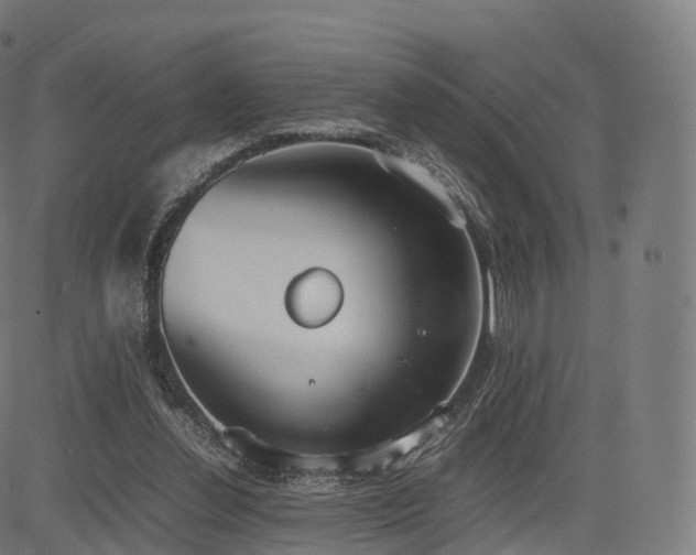 X0000085250252200703091305