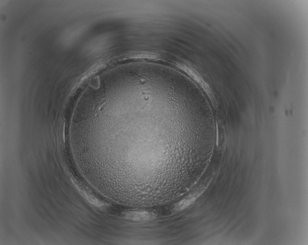 X0000085250253200703091305