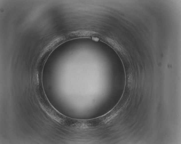 X0000085250254200703091305