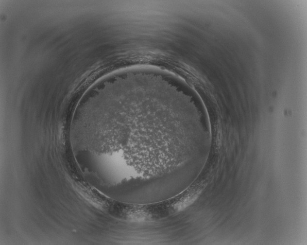 X0000085250258200703091305