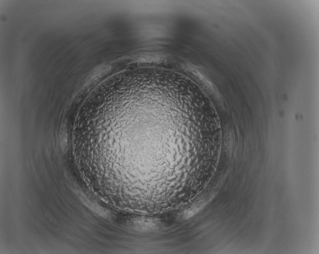 X0000085250261200703091305