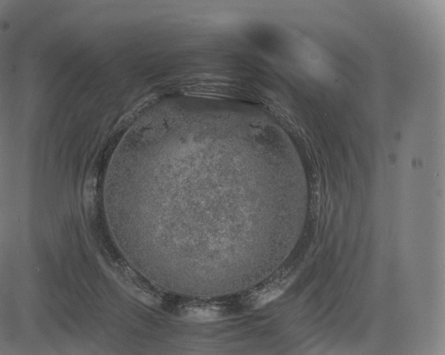 X0000085250263200703091305