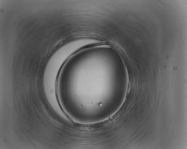 X0000085250264200703091305