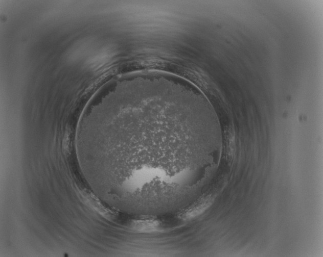 X0000085250266200703091305