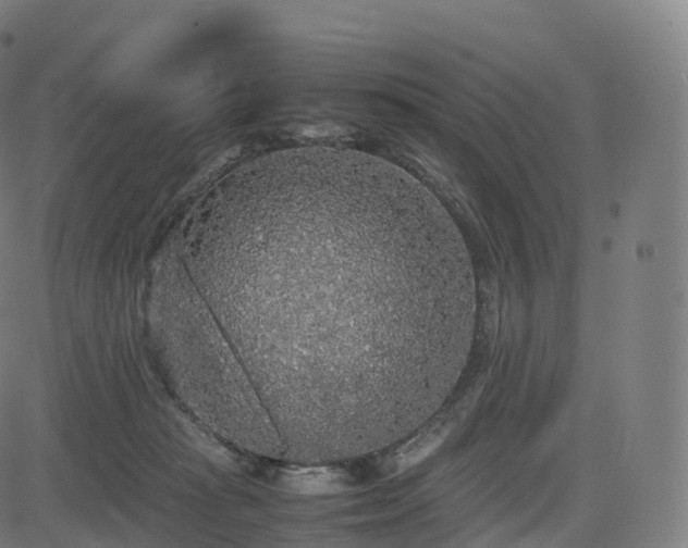 X0000085250269200703091305