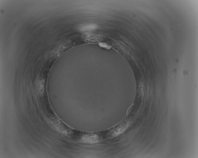 X0000085250271200703091305