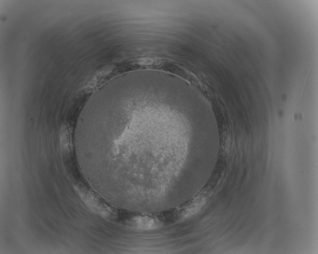 X0000085250272200703091305