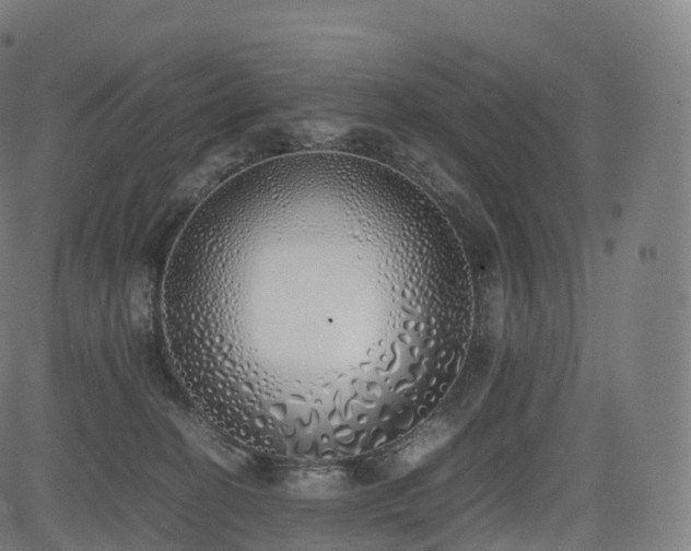 X0000085250274200703091306