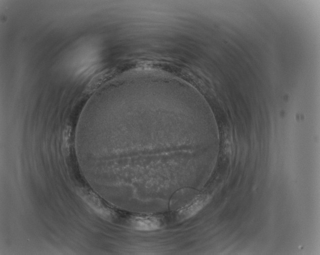 X0000085250275200703091306