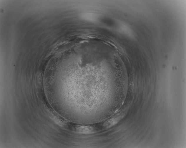 X0000085250277200703091306